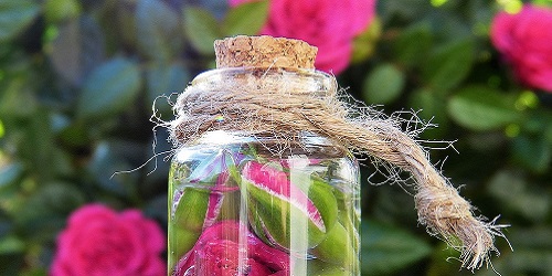 Bio und Naturprodukte