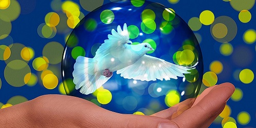 Hilfsorganisationen, soziale Projekte